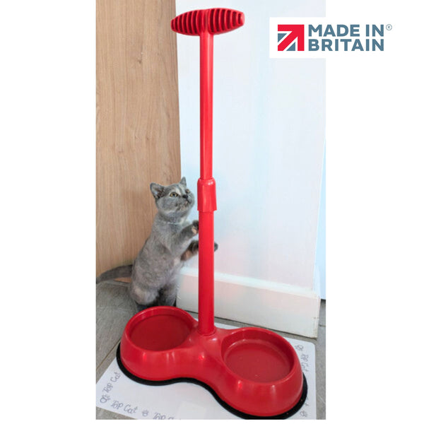 No Need to Bend Pet Feeding Bowl