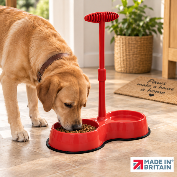 No Need to Bend Pet Feeding Bowl