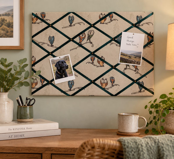 Notice Board - Funky Owl